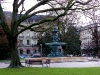 IMGP8575