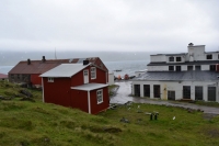 DSC_0131_djùpavik