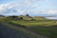 DSC_0208_strada-verso hoefn