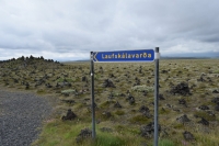 17-DSC_0089_strada-verso kirkjubaejarklaustur-collina lava
