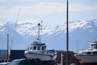 DSC_0072_husavik-porto