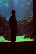 100_5903_ParqueDasNacoes_Oceanario.jpg