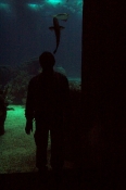 100_5937_ParqueDasNacoes_Oceanario.jpg