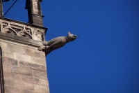 100_1645_LorenzKirke.jpg
