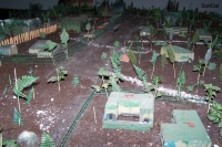 100_4856_plastico.jpg
