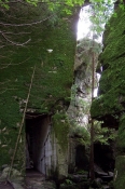 100_4866.jpg