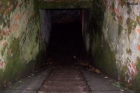 100_4873.jpg