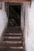 100_4883.jpg