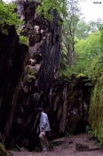 100_4889.jpg