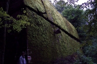 100_4895.jpg