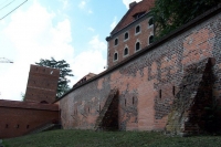 100_3954.jpg