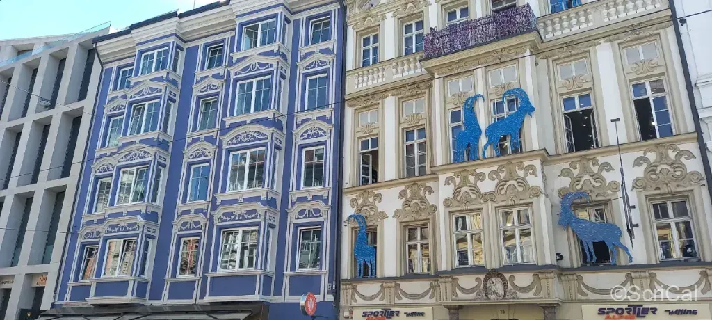 innsbruck-case