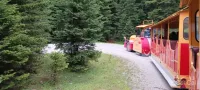 stubai-Maria-Waldrast-treno