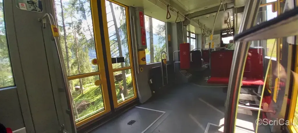stubai-treno-nel-bosco