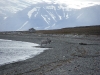IMGP7475_renna