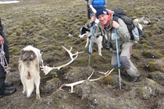 Svalbard foto: Högskulefjellet e  Perdalen