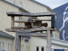 IMGP7795_Longyearbyen
