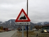 IMG_8766_Longyearbyen_x