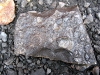 IMG_8785_Longyearbyen_fossili_x