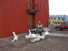 IMG_8800_Longyearbyen_balena_x
