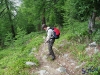 IMGP6129_bosco larici