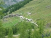 IMGP6164_malga