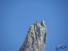 IMGP5962_rocciatori su dente gigante_da Punta Hellbronner