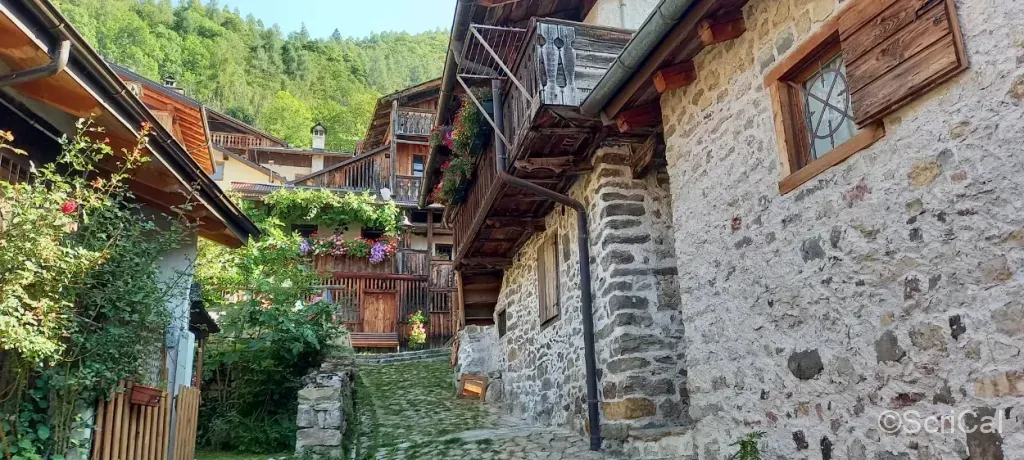 05-fornesighe